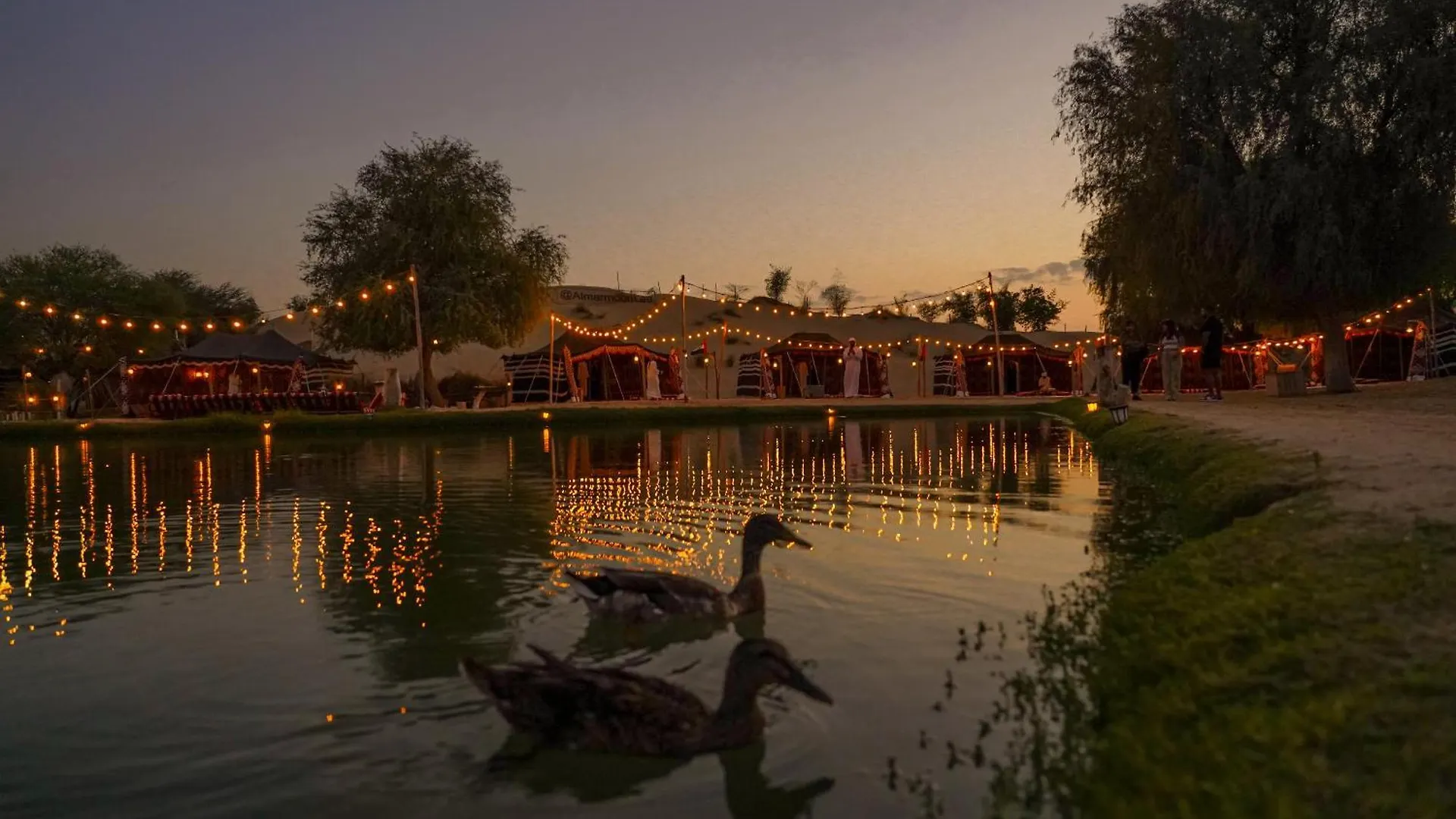 Al Marmoom Oasis Luxury Tents And Bedouin Experience Dubai