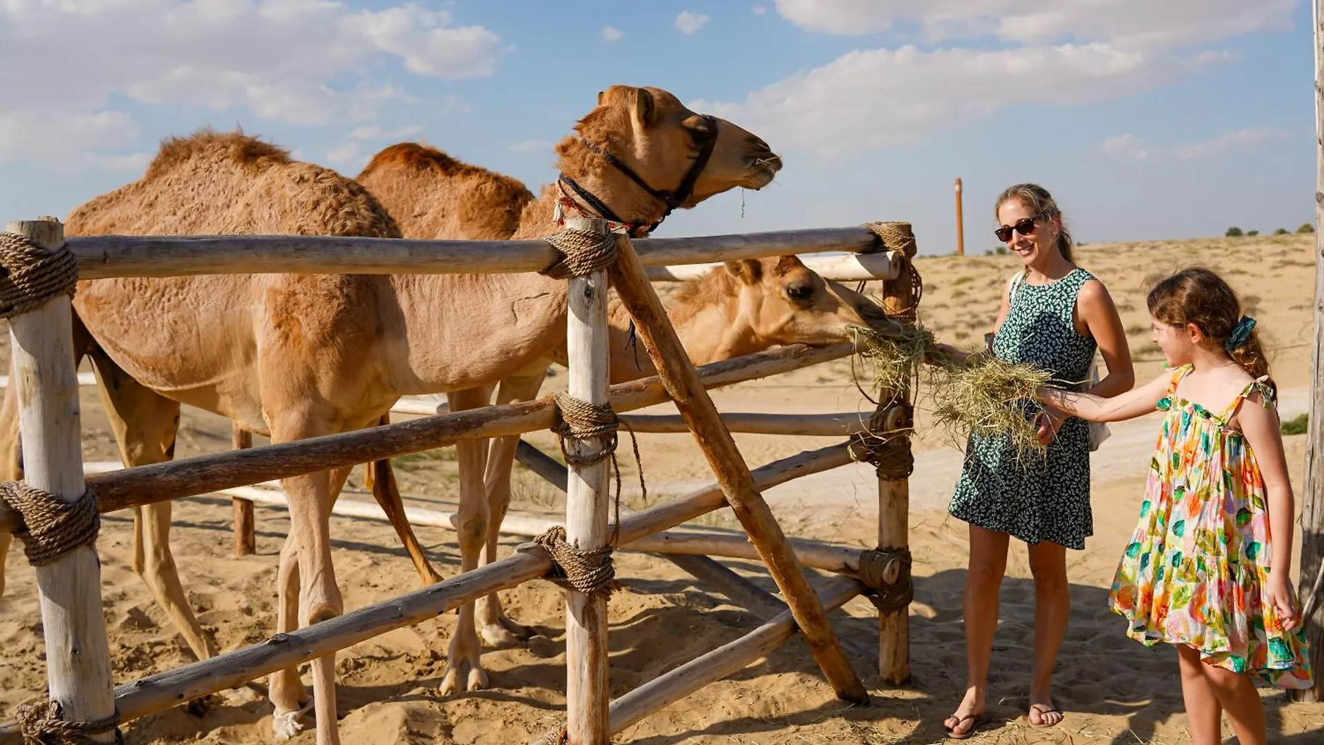 Al Marmoom Oasis Luxury Tents And Bedouin Experience Dubai 0*,  United Arab Emirates